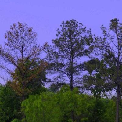 金博宝手机app下载