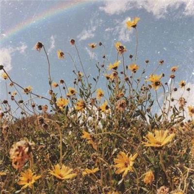 电玩城金鲨银鲨