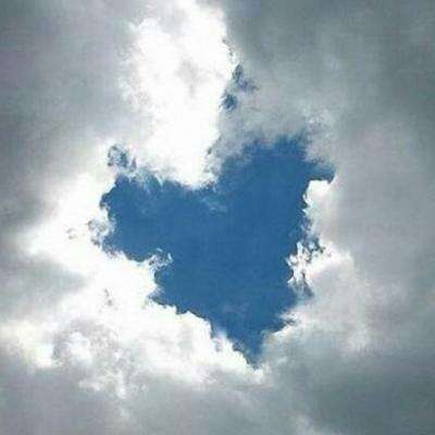 乐鱼体育app下载截图