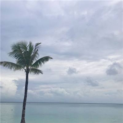 kaiyun体育网页登陆入口