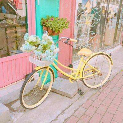 万博manbetx登录手机app下载