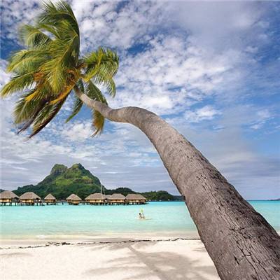 beplayapp下载登录·官方网站