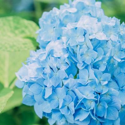 万博手机版max网页版