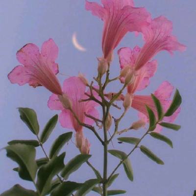 江南APP下载手机版